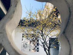 -拙政园