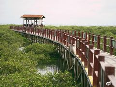 -北海金海湾红树林生态旅游区
