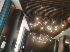 -全聚德(哈尔滨店)