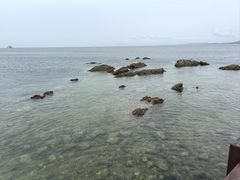 -养马岛旅游度假区