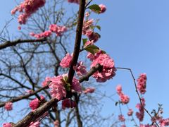 -三里河公园