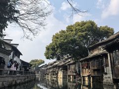 -乌镇东栅景区