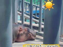 -太原动物园