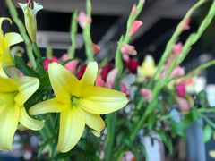 -Cafe Rooftop Cheongsapo