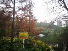 -重庆彩云湖湿地公园