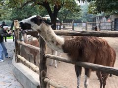 -西安秦岭野生动物园