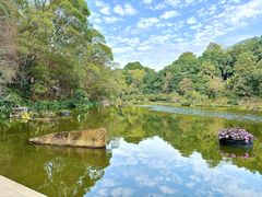 -深圳仙湖植物园