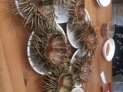 -海胆小馆(东北水饺·春柳店)