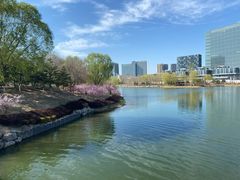 -大兴滨河森林公园