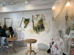 店内布置-共舞时光猫咖·狗咖(新街口店)