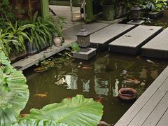 -绿房子方寸咖啡(星海名城店)