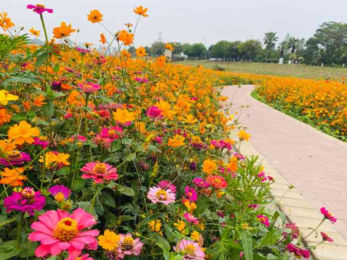 花海生态公园-"今日去芦苞办签证[偷笑]听说好多禅城顺德.