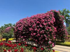 -前滩友城公园-停车场