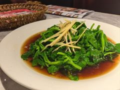 -天辣(金桥啦啦宝都店)