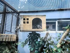 -青藏高原野生动物园