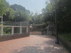 -石排湾郊野公园