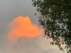 -松鹤精致料理(五一中路店)