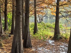 -贵阳市花溪国家城市湿地公园