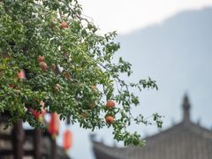 -昭化古城