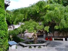 -蓬莱仙岛