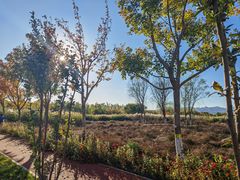 -永定河休闲森林公园