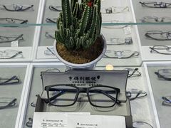 -罗伯特眼镜·蔡司官方授权(罗湖国贸店)