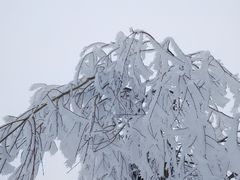 -西岭雪山大飞水景区