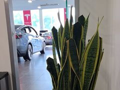 -TESLA 特斯拉(北京南四环中路特斯拉中心)