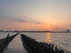 -上海吴淞炮台湾国家湿地公园