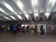 -香港大学