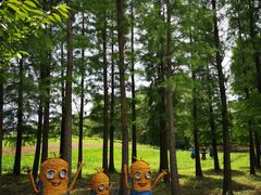 -梁鸿国家湿地公园