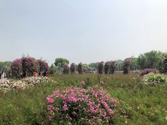 -尚贤河湿地