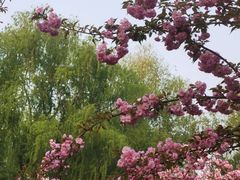 -莲花池公园