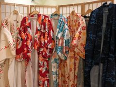 -柴犬小屋·柴餐厅·狗咖食堂(金鼎广场店)