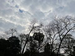 -灵隐飞来峰景区