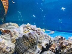 -龙兴食府(锦绣家园店)