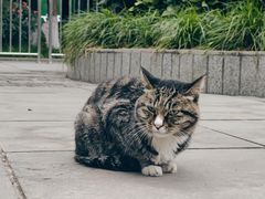 -成都市文化公园
