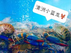 -星记小馆·小蓝龙·老南京砂锅菜(上海路店)
