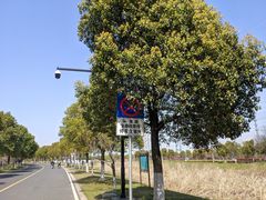 -漕湖湿地公园