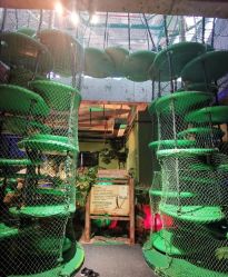 -恐龙探索乐园(磁器口店)