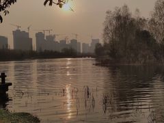 -洋湖国家湿地公园