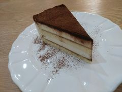 提拉米苏-滚猫咖啡·猫咖·猫友好撸猫(未来城店)