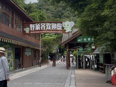 -野象谷景区