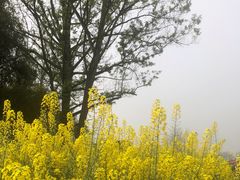 -中国天府农业博览园