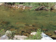 -海南热带雨林国家公园吊罗山景区