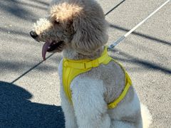 -天津东丽湖风景区