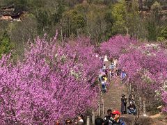 -天台山赤城山景区