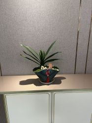 -漂亮妈妈通乳·塑形·产后恢复(奥体店)