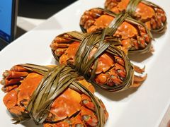 -杨氏青龙虾·吃蟹季(金盛路总店)