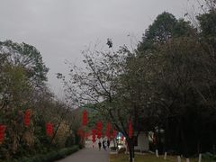 -广州市帽峰山景区